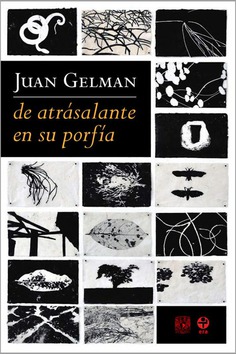 De atrásalante en su porfía De atrásalante en su porfía