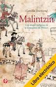 Malintzin (E-Book)