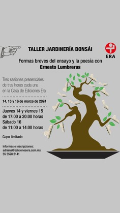 Taller Jardinería bonsái